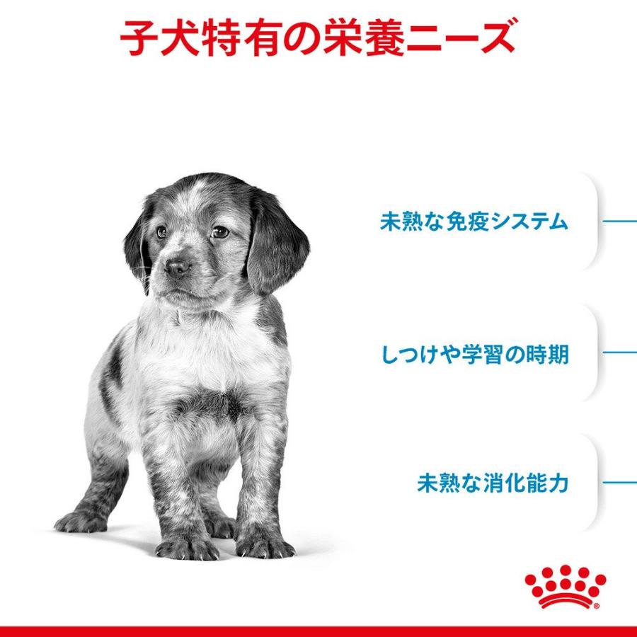 ロイヤルカナン　ミディアム　パピー　子犬用　４ｋｇ×３袋　３１８２５５０７０８１８０　お一人様１点限り　ジップ付 | ロイヤルカナン | 02