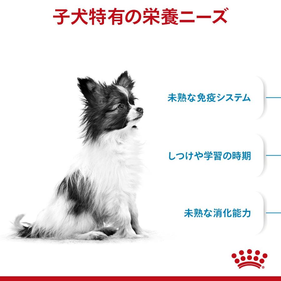 ロイヤルカナン　エクストラスモール　パピー　３ｋｇ×３袋　子犬用　３１８２５５０７９３６３６　お一人様１点限り　ジップ付 | ロイヤルカナン | 02