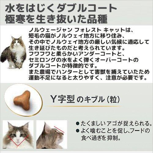 ロイヤルカナン　ノルウェージャンフォレストキャット　2キロ2袋② ロイヤルカナン 【2kg×2袋】ロイヤルカナン FBN ノルウェー