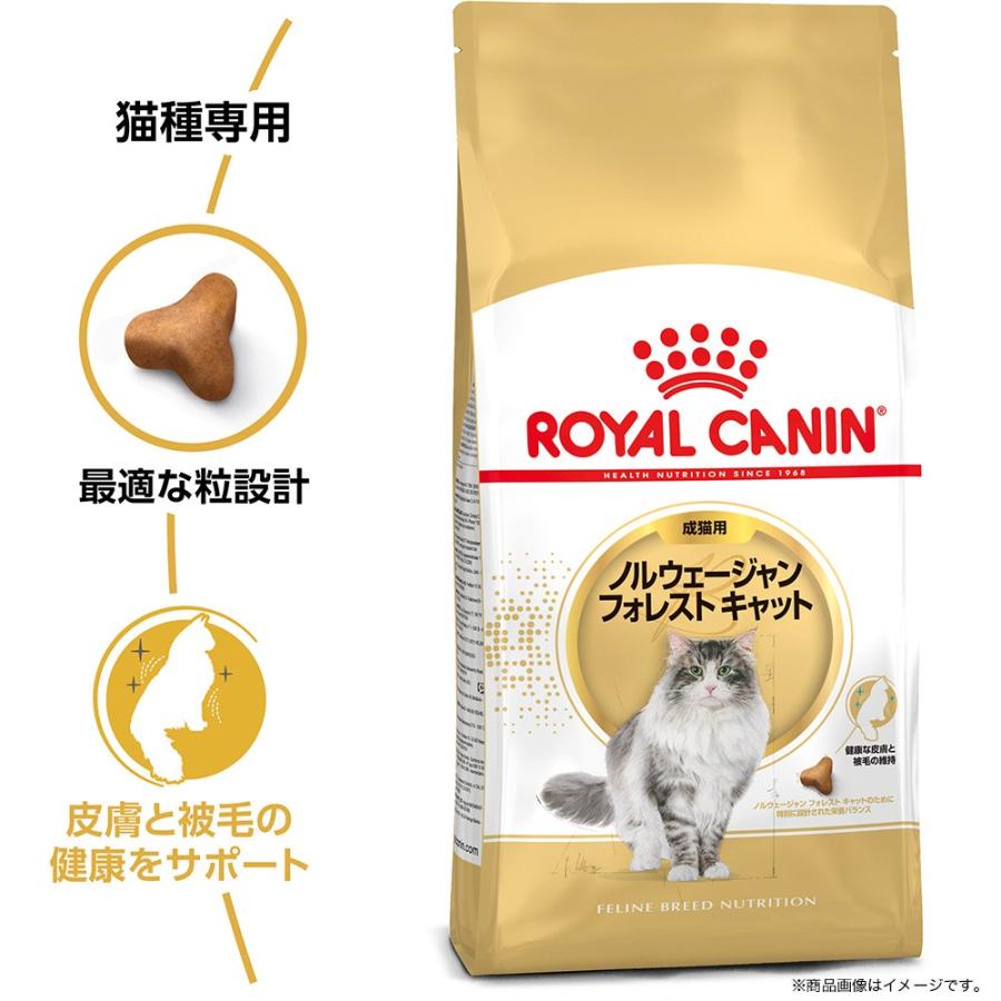 ロイヤルカナン（ROYAL CANIN） 猫 ノルウェージャン フォレスト