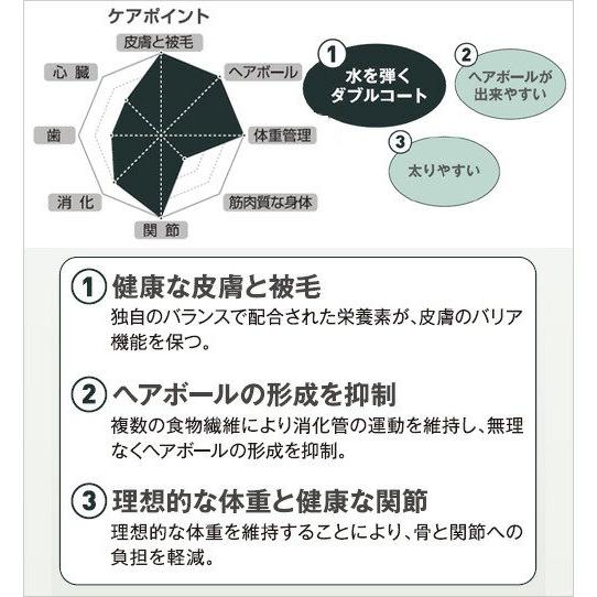 ロイヤルカナン（ROYAL CANIN） 猫 ノルウェージャン フォレスト