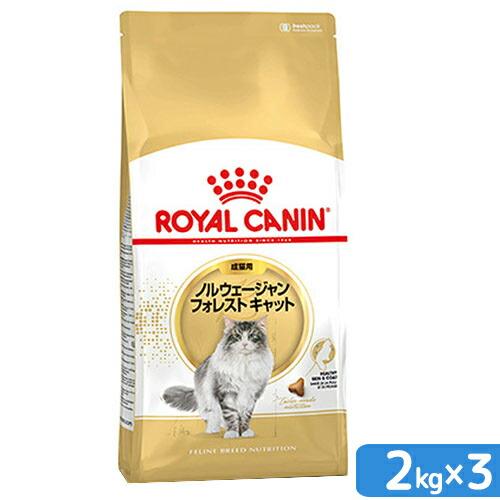 ロイヤルカナン　猫　ノルウェージャン　フォレスト　キャット　成猫用　生後１２ヵ月齢から１２歳まで　２ｋｇ×３袋　ジップ付（Yahoo!・チャーム charm ヤフー店）