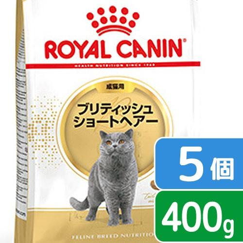 ロイヤルカナン（ROYAL CANIN） 猫 ブリティッシュ ショートヘア