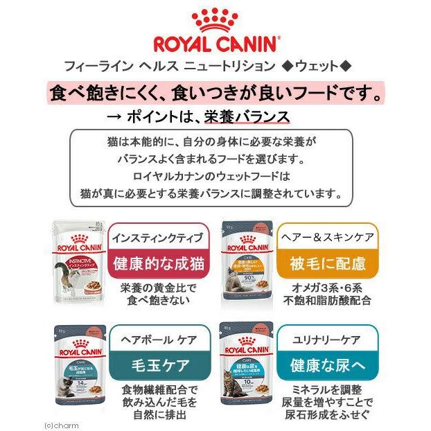 ロイヤルカナン　猫　ＦＨＮ　インドア　成猫用　１０ｋｇ　ジップ付＋お試し　パウチ　４種　お一人様５点限り | ロイヤルカナン | 03