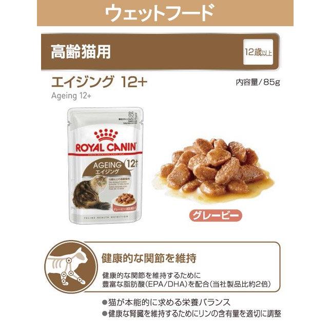 2個セット  CANIN 高齢猫用 ドライフード 4kg 楽天市場】高齢 猫 ドライフードの通販
