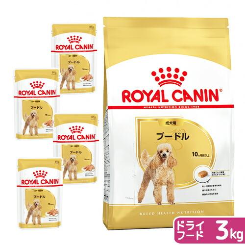  CANIN プードル用 ドライフード 3kg【3個セット】 ロイヤルカナン（ROYAL CANIN） プードル 成犬用 ドライフード 3kg