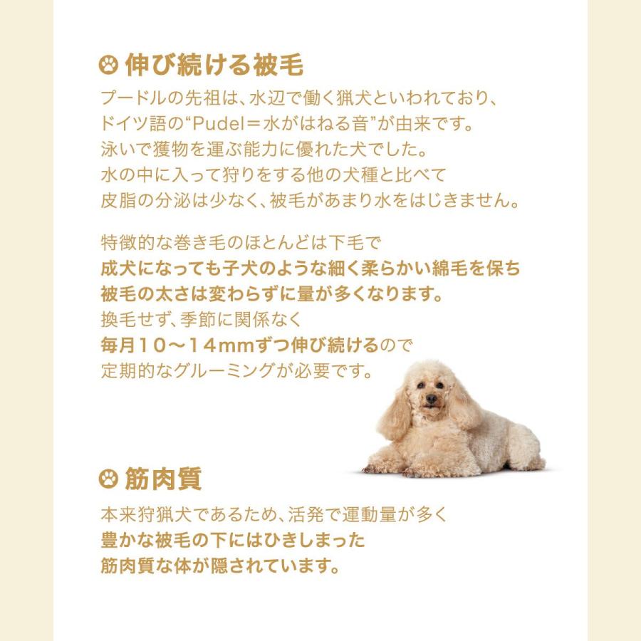 ロイヤルカナン（ROYAL CANIN） プードル 成犬用 ドライフード 7