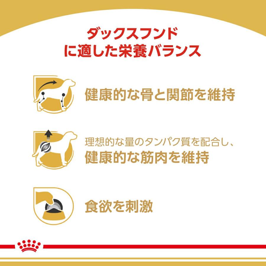 ロイヤルカナン　ウェット　ダックスフンド　８５ｇ　お一人様５点限り | ロイヤルカナン | 03