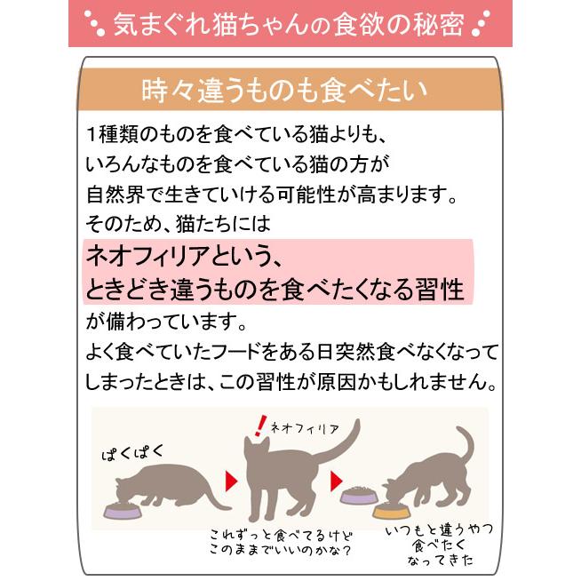 ロイヤルカナン　猫　インスティンクティブ　ゼリー　成猫用　８５ｇ　１ボール１２袋　９００３５７９３０９５１３　お一人様５点限り｜chanet｜03