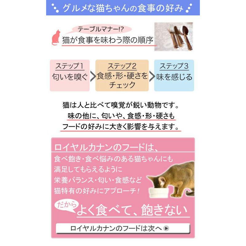 ロイヤルカナン（ROYAL CANIN） 猫 食事にこだわる成猫用 食べ比べ