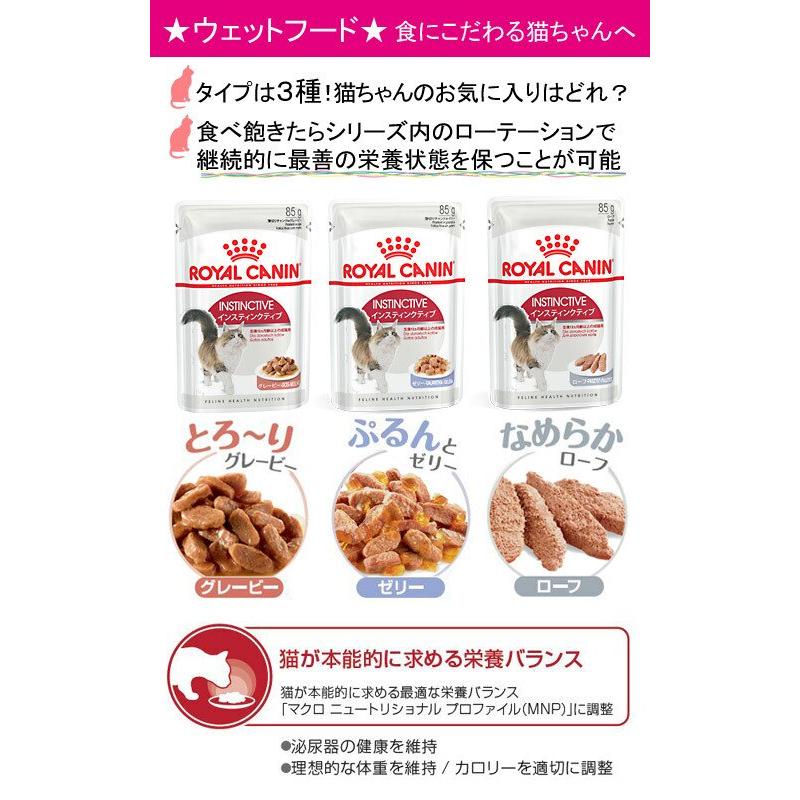 ロイヤルカナン（ROYAL CANIN） 猫 食事にこだわる成猫用 食べ比べ