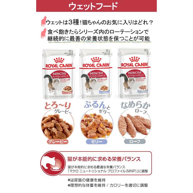 ロイヤルカナン（ROYAL CANIN） 猫 室内猫用ドライウェットセット