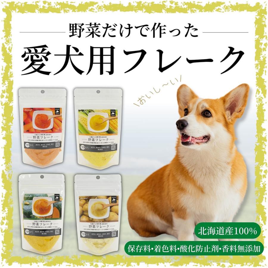 ペットプロ　素材１００％野菜フレーク　にんじん　３５ｇ |  | 05
