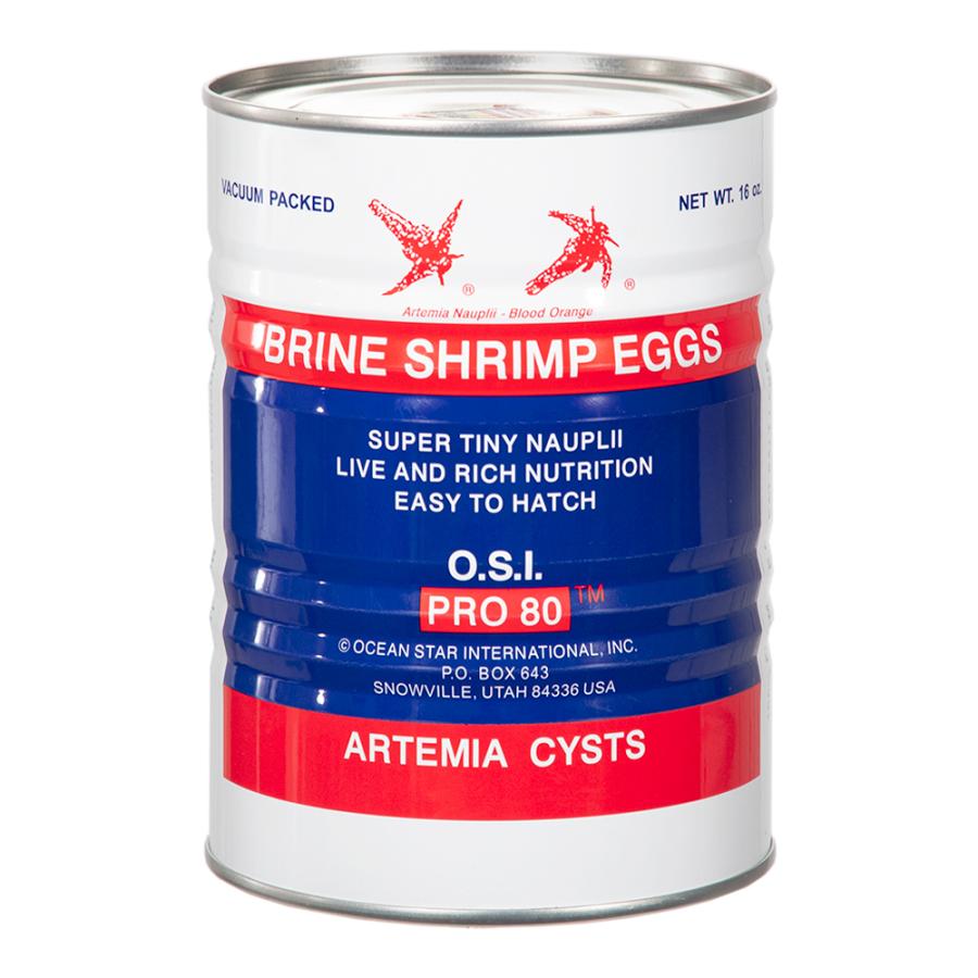 ブラインシュリンプエッグ　ソルトレイク産　1缶454g ブラインシュリンプエッグソルトレイク産1缶454g