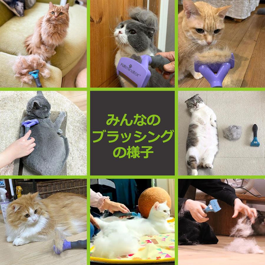 ファーミネーター 中〜大型猫 短毛種用 正規品 ペット ブラシ 抜け毛