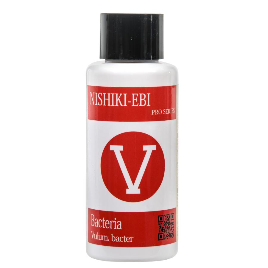 錦えび PROSERIES バクテリア ブラムバクター 100ml