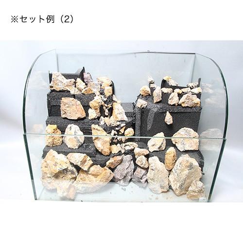 ピクタ　作れる君　５９ｃｍ×２９ｃｍ×１．５ｃｍ　レイアウト　テラリウム | ピクタ | 03