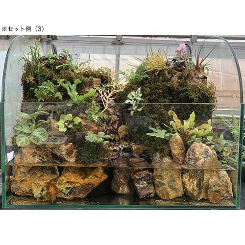ピクタ　作れる君　５９ｃｍ×２９ｃｍ×１．５ｃｍ　レイアウト　テラリウム | ピクタ | 04