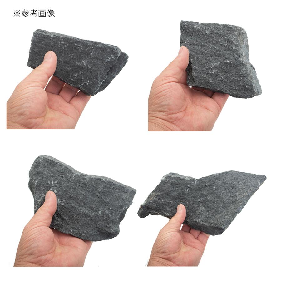 チャーム（charm） 形状お任せ 黒甲石 サイズミックス 3kg 30cm
