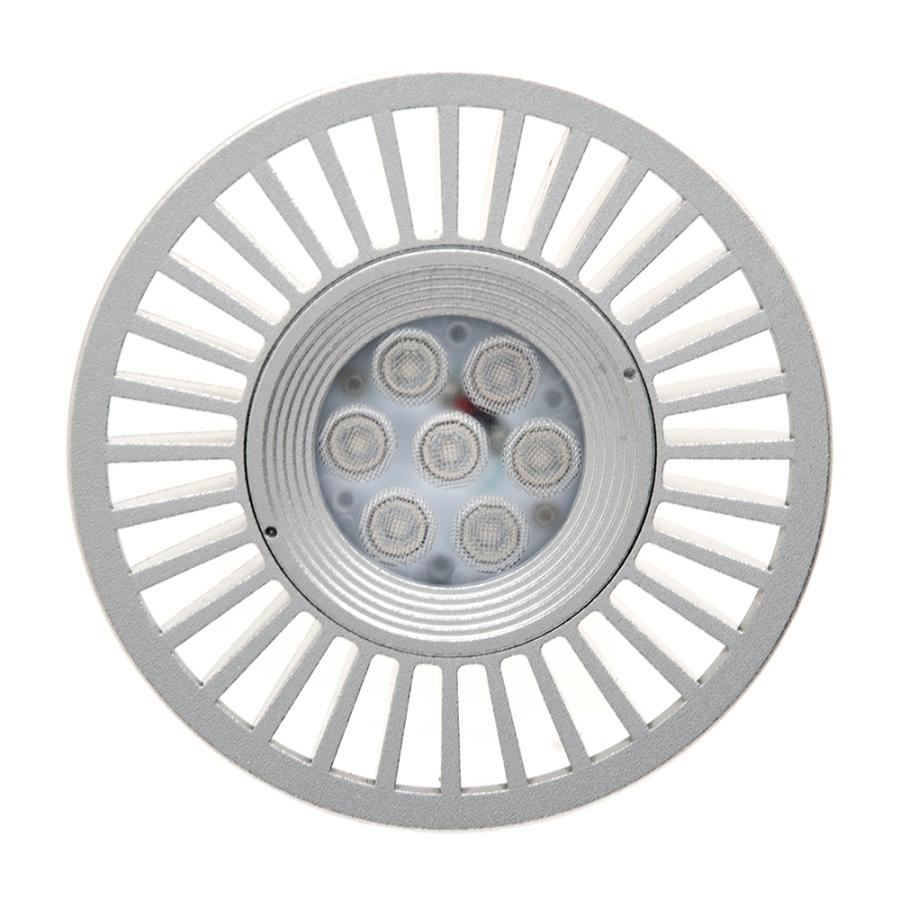 volxjapan（ボルクスジャパン） Grassy LeDio RX072e