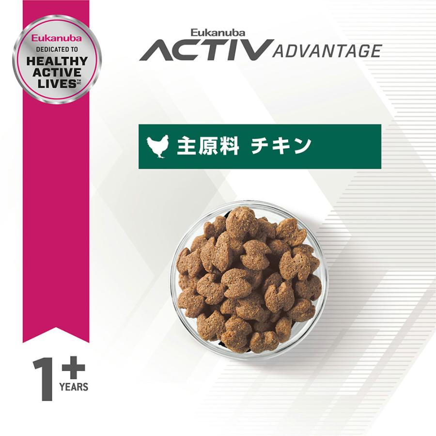 Eukanuba　ドライフード 　ユーカヌバ　小型犬用　中型犬用　まとめ売り ユーカヌバ スモール パピー 15kg 子犬用 小・中型犬用 ～12ヶ月まで
