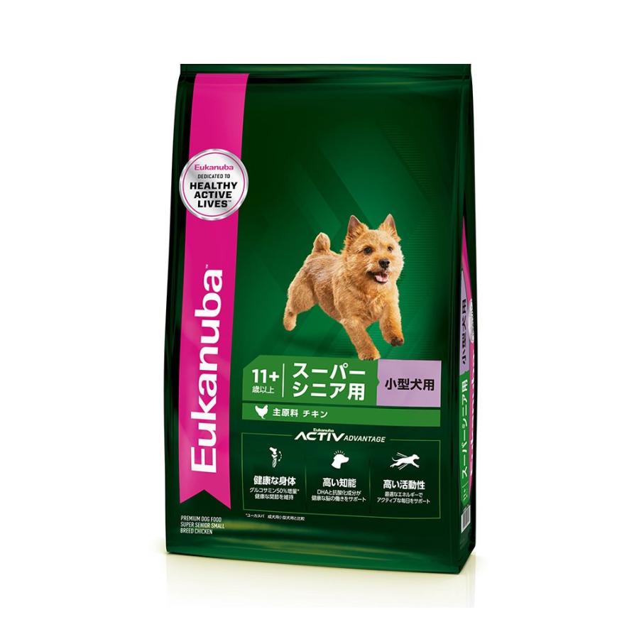 シャークスキン 中株 発根済み シャークバイト ニグラ④ アガベ