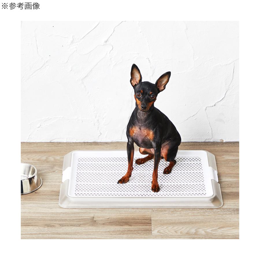 ボンビアルコン　ペットレー　クリアメッシュ　Ｓサイズ　犬用トイレ　トイレトレー | ボンビアルコン | 02