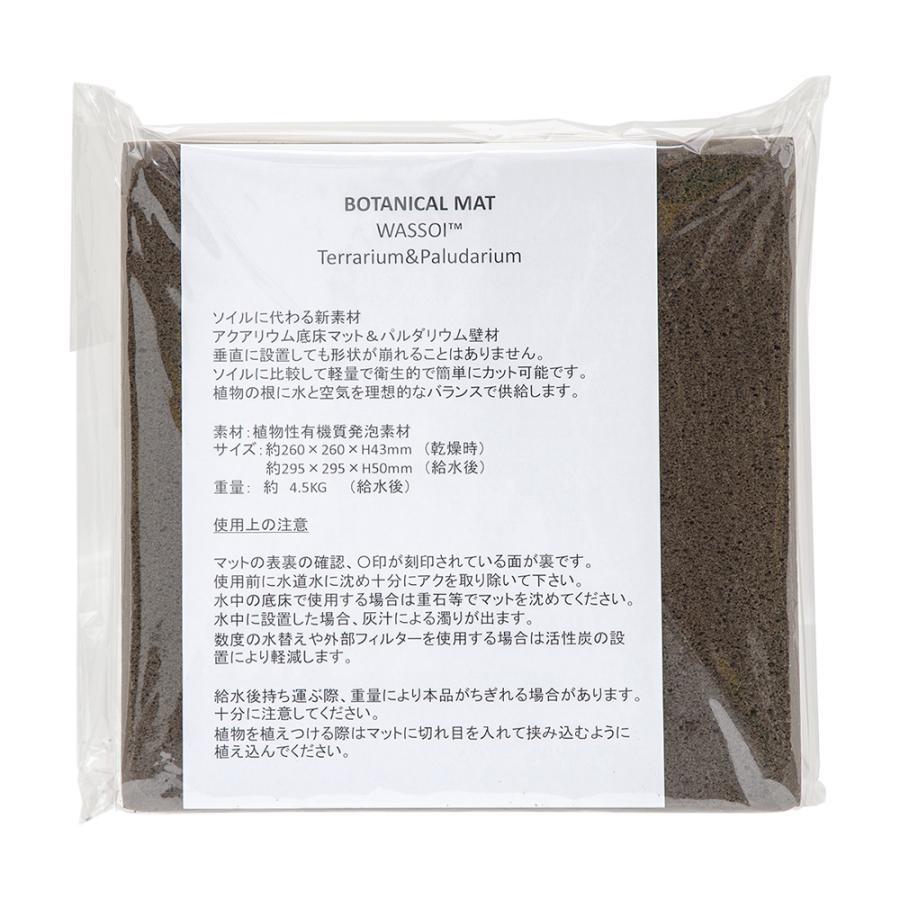 アウトレット品 ボタニカルマット ３０ ３０ｃｍ １枚 パルダリウム レイアウト マット 訳有り チャーム Charm Paypayモール店 通販 Paypayモール