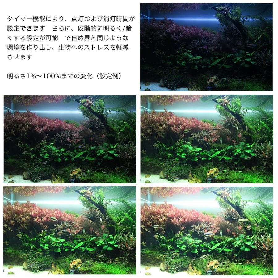 Chihiros LED WRGB2 120 10周年モデル ブラック