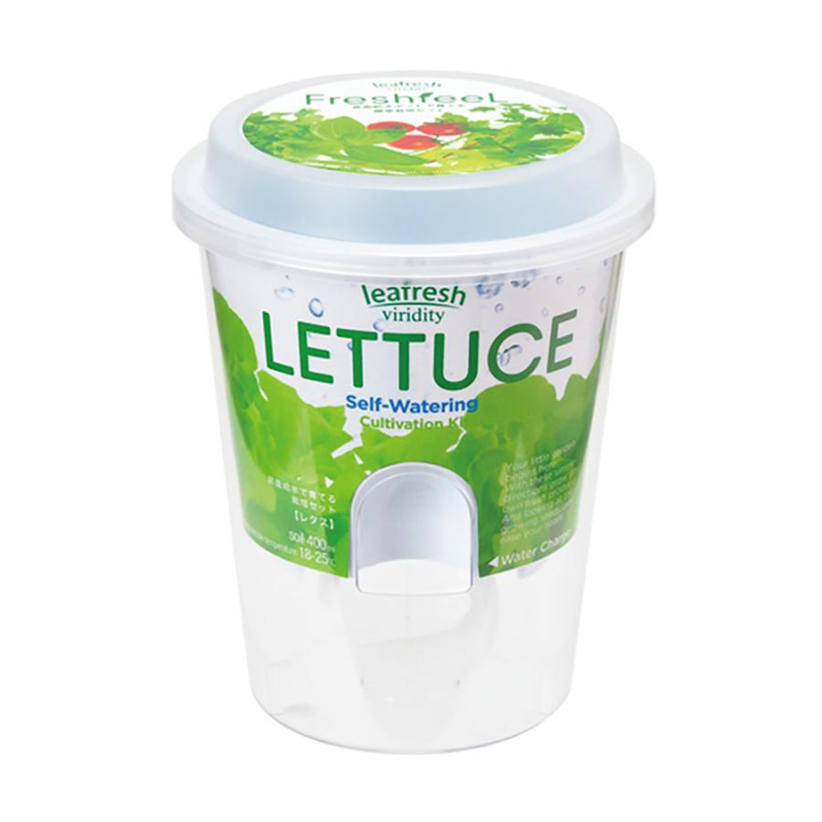 最新作の 聖新陶芸 フレッシュフィール レタス ｇｄ ８１９