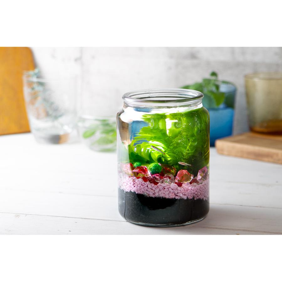 熱帯魚 水草 ｇｅｘボトルアクアリウムシュガー アカヒレ 水草セット 餌 水付 説明書付き 本州四国限定 チャーム Charm Paypayモール店 通販 Paypayモール