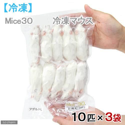 冷凍★アダルトＬ　カタ養殖　Ｍｉｃｅ３０　冷凍マウス　１０匹×３袋　別途クール手数料　常温商品同梱不可