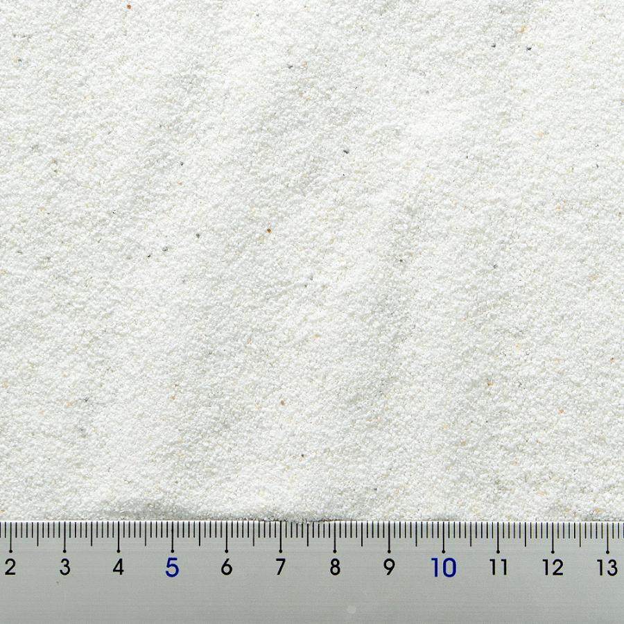 Leaf Corp サンゴ砂 ホワイトビーチサンド 3L 海水水槽用底砂 お一