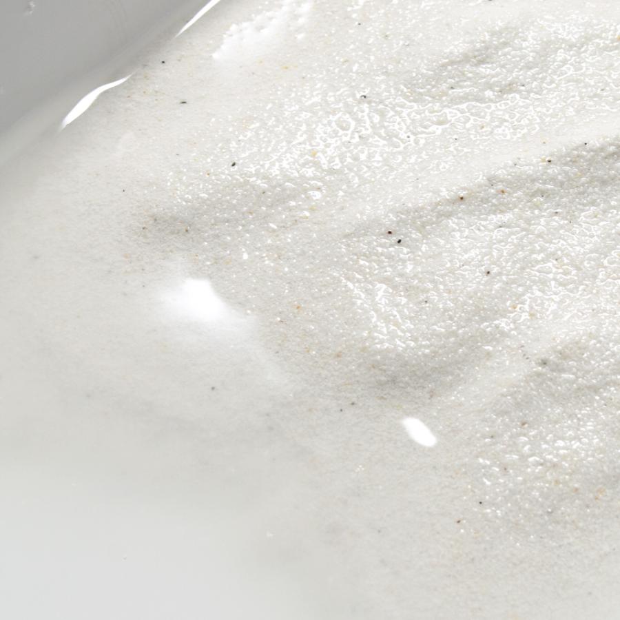 Leaf Corp サンゴ砂 ホワイトビーチサンド 3L 海水水槽用底砂 お一