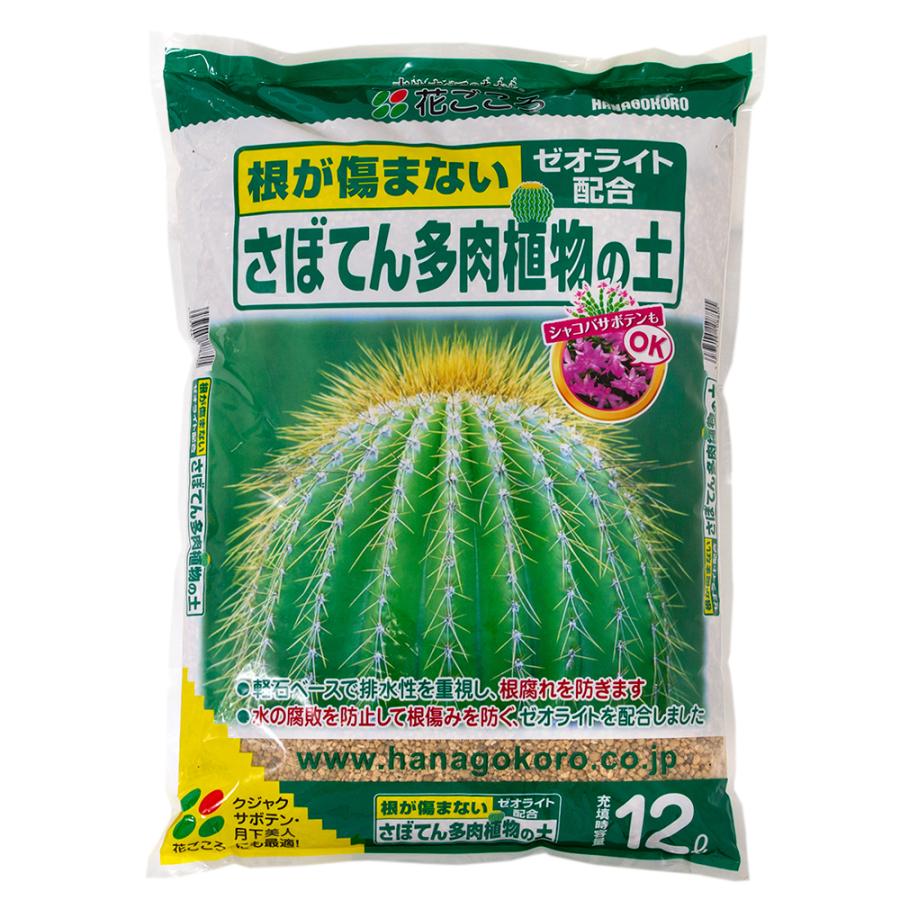最安値 花ごころ サボテン多肉植物の土 １２ｌ お一人様３点限り1 380円 Bayern Dghk De