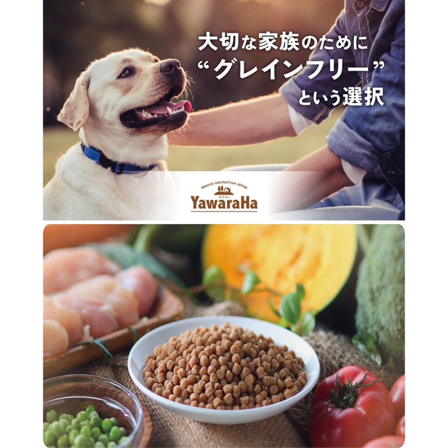 YawaraHa グレインフリー ソフト 600g Sunrise（マルカン） ヤワラハ グレインフリー ソフト チキン＆野菜