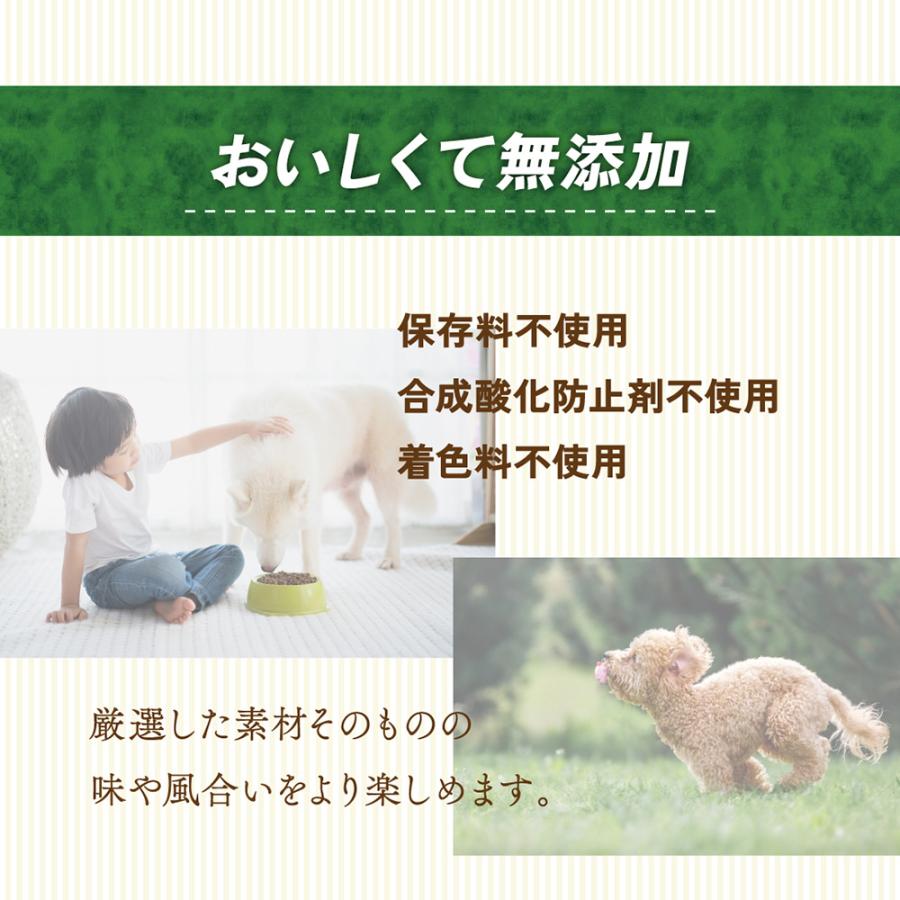 Sunrise（マルカン） ヤワラハ グレインフリー ソフト チキン＆野菜
