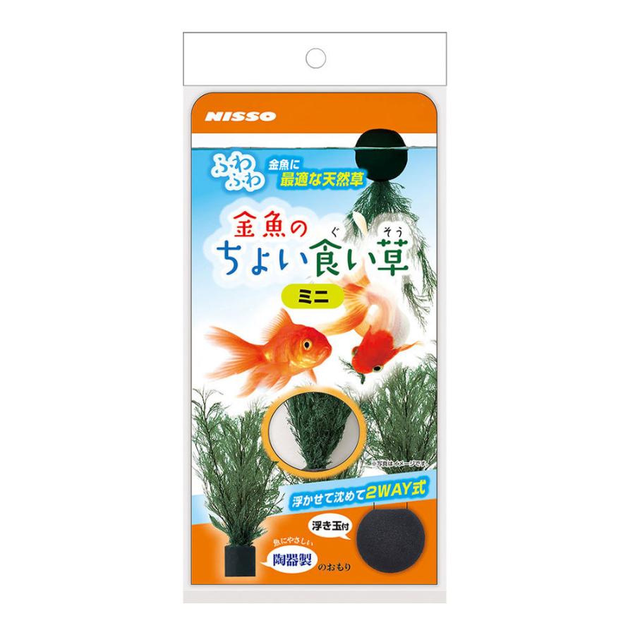 ニッソー ニッソー 金魚のちょい食い草 ミニ 1個 : チャーム charm