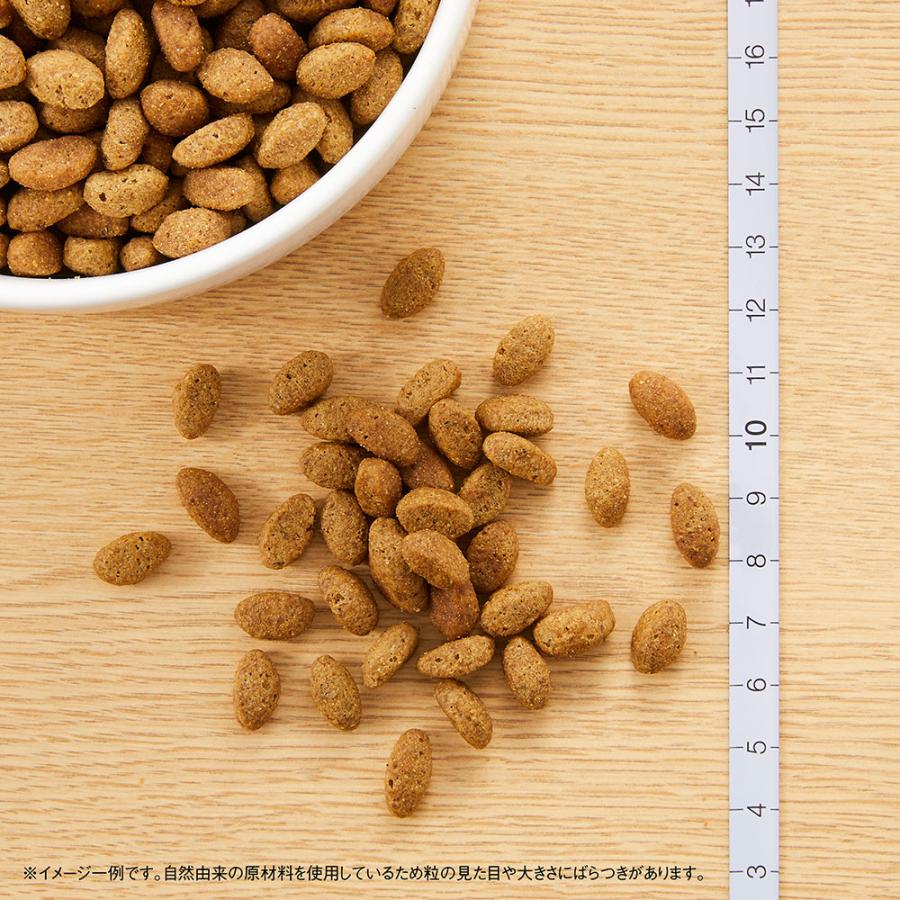 シュプレモ ニュートロ シュプレモ 超小型犬〜小型犬用 シニア犬用