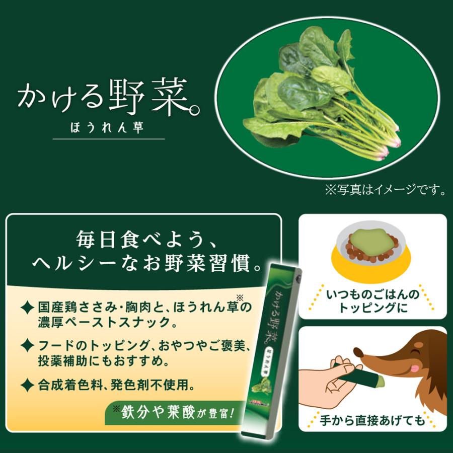 ドギーマン　かける野菜　ほうれん草　１４ｇ×４本｜chanet｜03