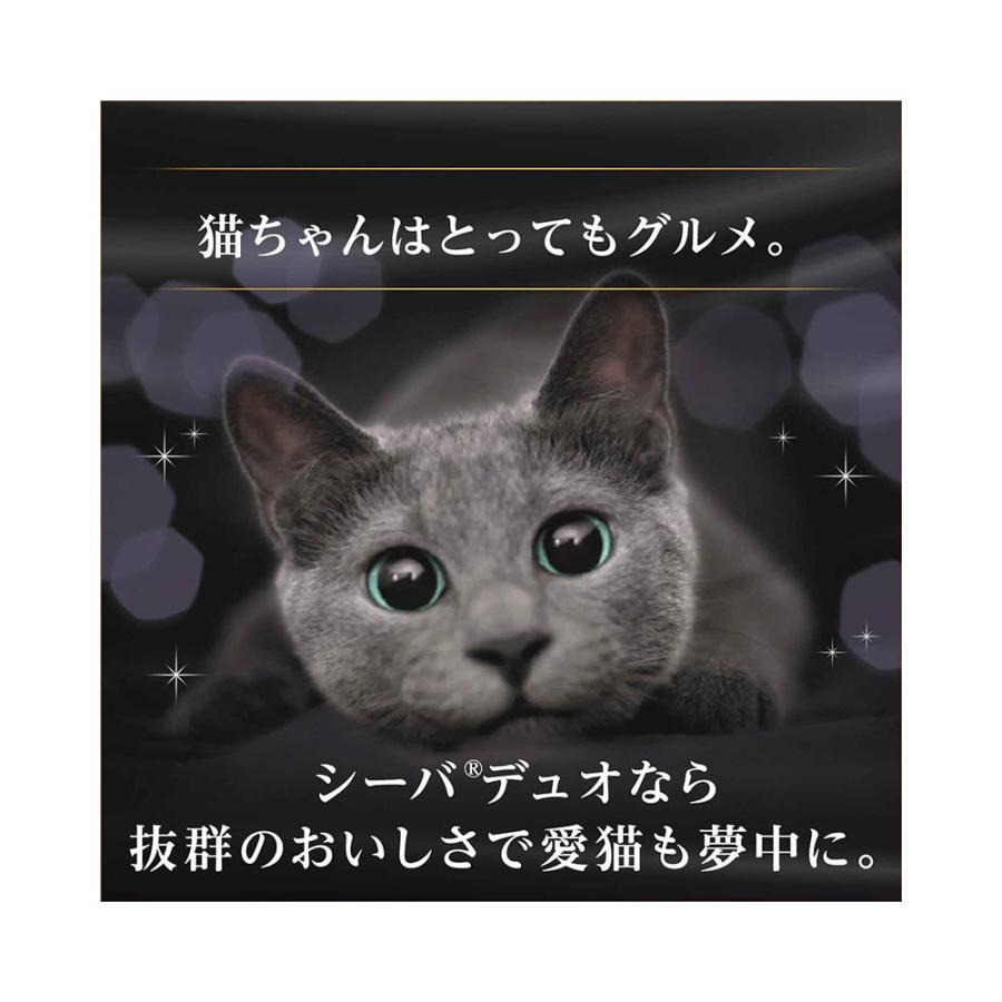 アウトレット 送料無料 キャットフード アソート シーバ デュオ 子ねこ用 ２種各２個 計４個1 430円 Whitesforracialequity Org