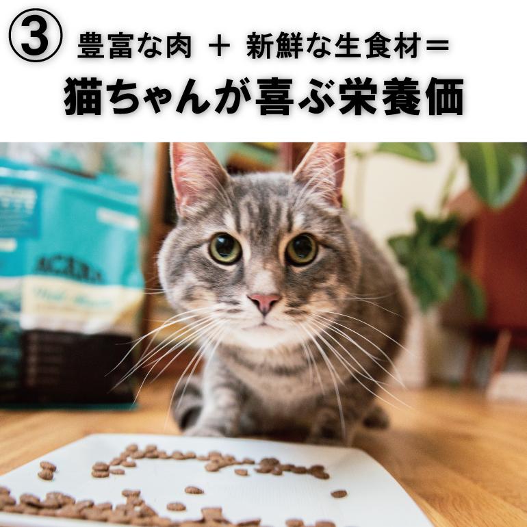 キャットフード　アカナクラシック　バウンティフルキャッチキャット　３４０ｇ　猫　正規品｜chanet｜09