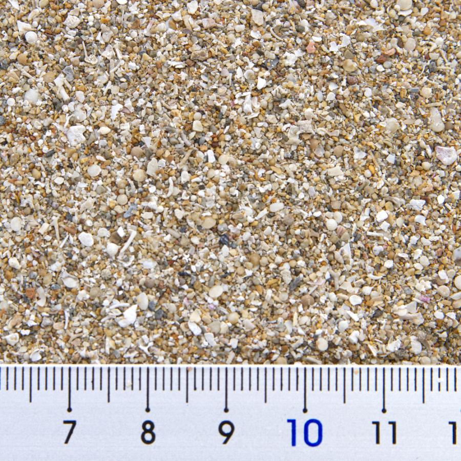 女の子向けプレゼント集結 国内洗浄焼成済み ｃ ｐ ｆａｒｍ アラゴナイトサンド プレミアム ６ｋｇ ３ｋｇ ２ 約４ ８ｌ 海水水槽用底砂 お一人様４点限り Dprd Jatimprov Go Id