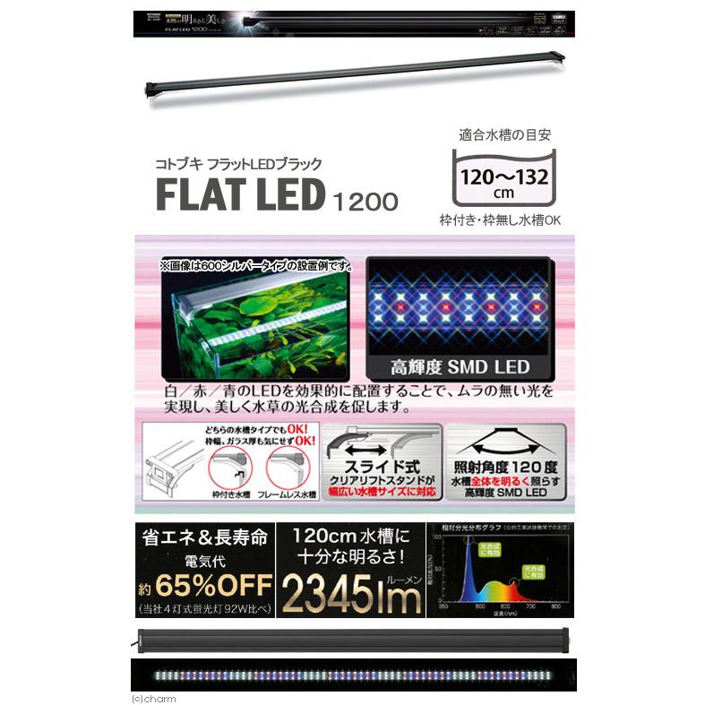 コトブキ工芸 (大型)コトブキ工芸 120cm水槽 アクア コトブキ工芸 (大型)コトブキ工芸 120cm水槽 アクア