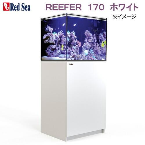 超大型 レッドシー ｒｅｅｆｅｒ １７０ ホワイト オーバーフロー水槽 ３個口 本州四国送料無料 同