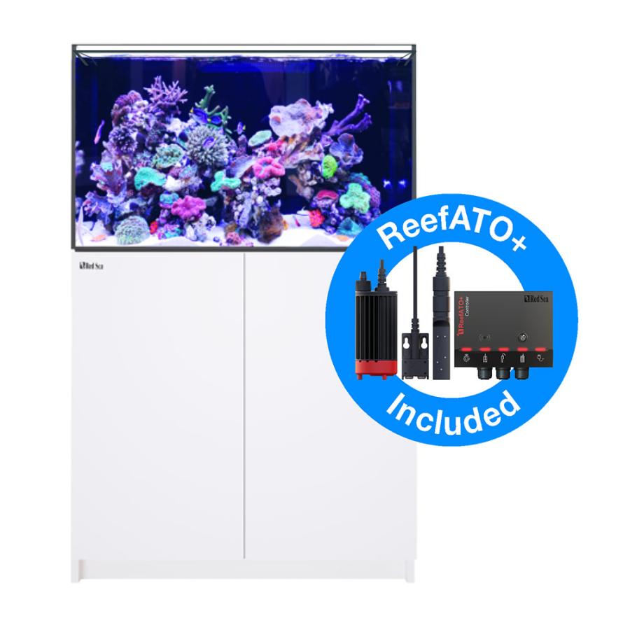 レッドシー （超大型）取寄せ商品 REEFER 300 G2＋