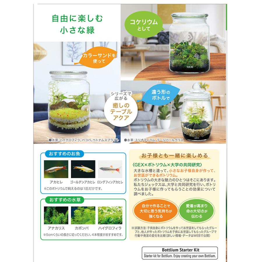 【新品未使用】GEX ボトリウム スターターキット 5個セット　夏休み自由研究 GEX（ジェックス） ボトリウム ネイチャーセット ブラック : チャーム