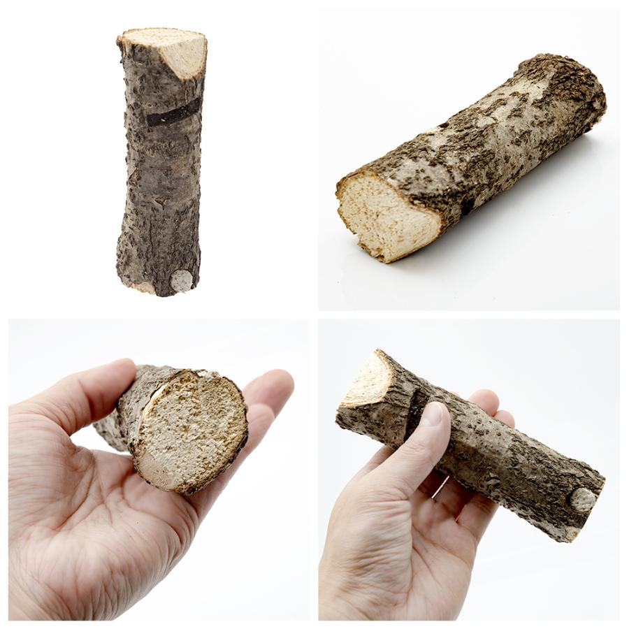 フジコン　くち木　クワガタ　産卵木　転倒防止　足場 | フジコン | 01