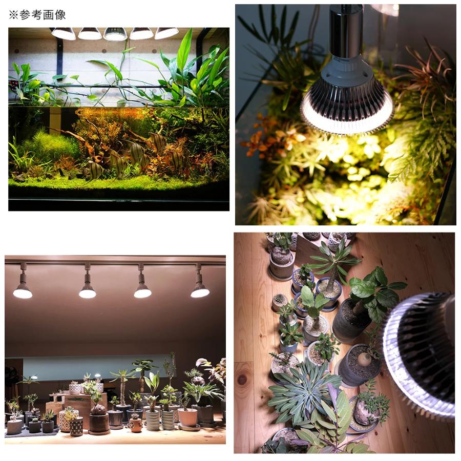 BARREL 植物育成用ライト SUN−18W 白色光 : チャーム