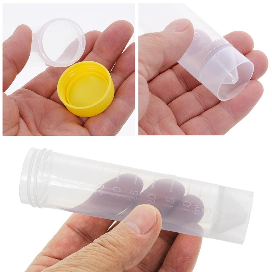 昆虫標本 ケース付き 約5cm x 7cm アンモナイト　爪 昆虫標本 ケース付き 約5cm x 7cm アンモナイト 爪 昆虫標本 ケース